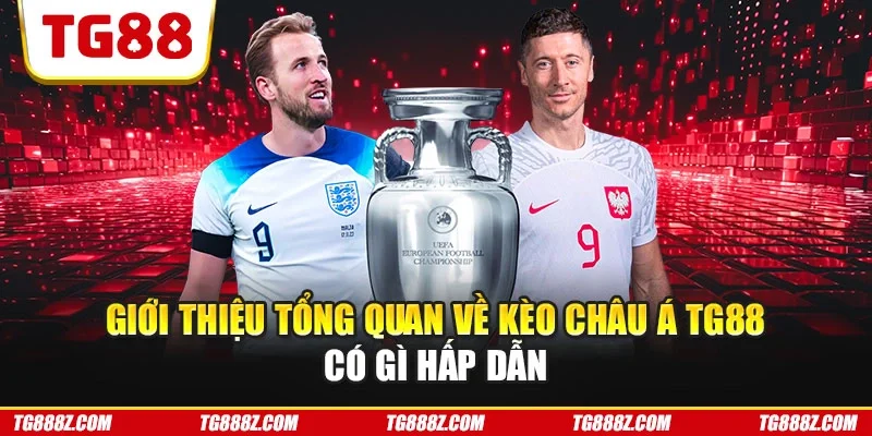 Giới thiệu tổng quan về kèo châu Á TG88 có gì hấp dẫn